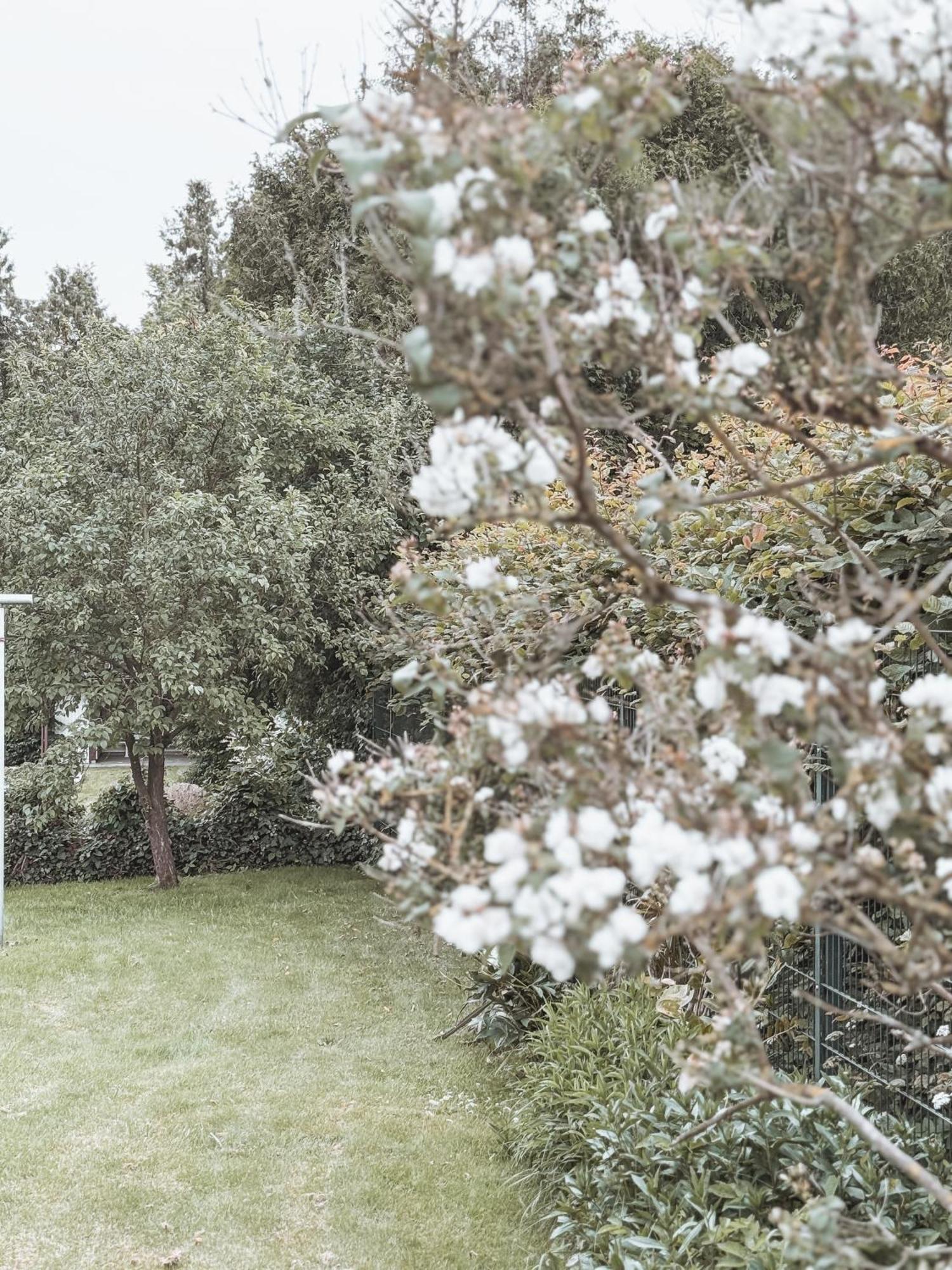 Bohemian Suite - Detmold Luaran gambar